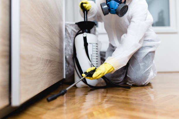Best Commercial Pest Control Services  in Cheboygan, MI