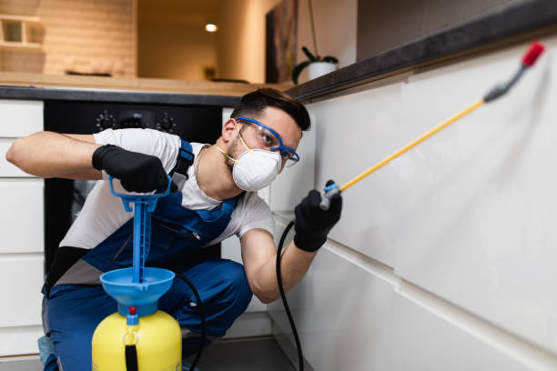 Best Ant Control Services  in Cheboygan, MI