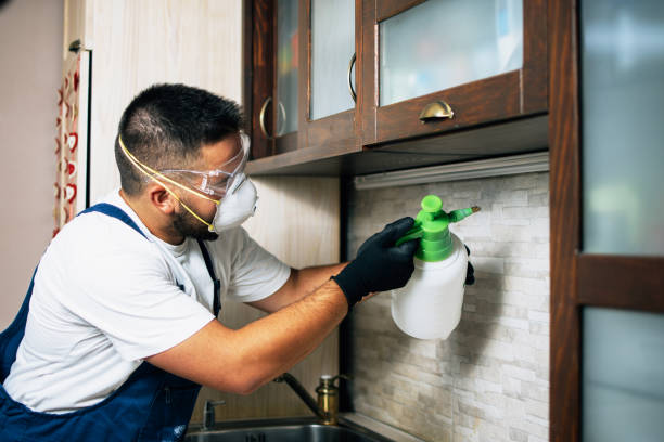 Best Best Pest Control Near Me  in Cheboygan, MI