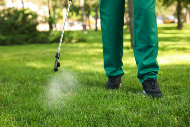 Pest Control for Restaurants in Cheboygan, MI