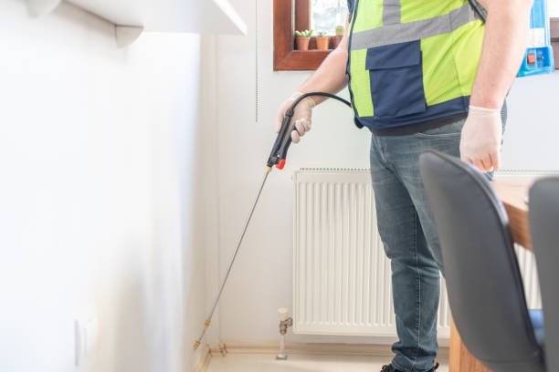 Best Mosquito Control Services  in Cheboygan, MI
